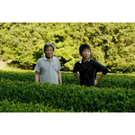thé vert japonais kamairicha biologique famille kadota de miyazaki