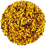 Pelotes de Pollen Agriculture Biologique Fleurs de Bouleau Saule Peuplier Hetre Espagne