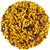 Pelotes de Pollen Agriculture Biologique Bouleau Saule Peuplier Hetre Espagne