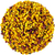 Pelotes de Pollen Agriculture Biologique Fleurs de Bouleau Saule Peuplier Hetre Espagne