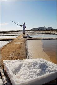 Sel de Tavira Salins La Route Des Sels