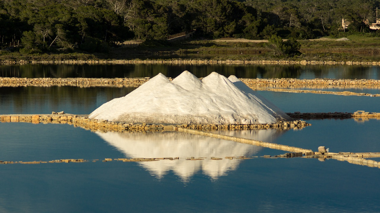 salt gf7c7c2e1b 1280