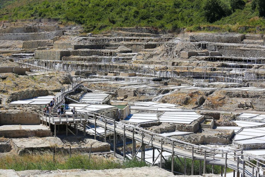 salines anana 5