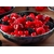 fruits rouges
