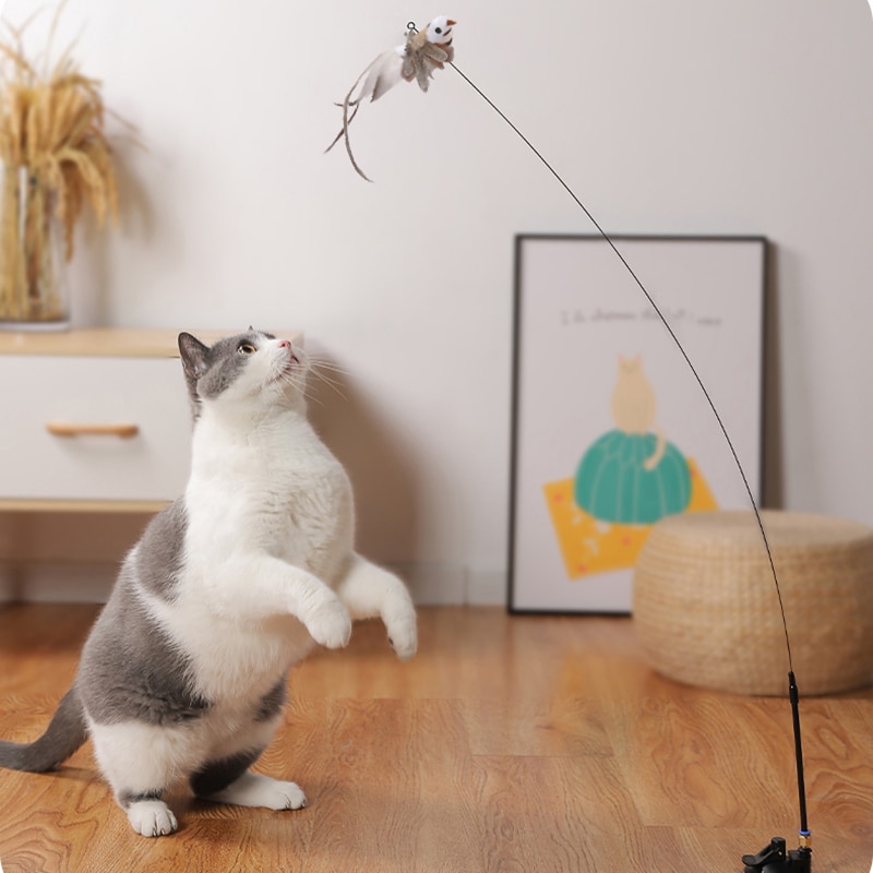 Jouet Interactif pour Chat ❤️ Canne avec Proie sur ventouse