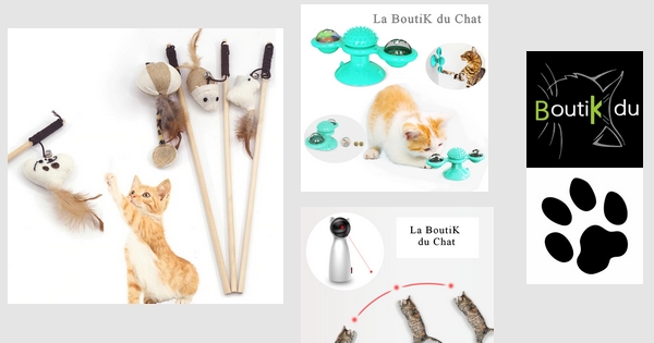Jouet Interactif pour Chat-Jeux Chatons - La Boutik du Chat