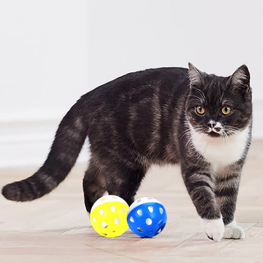 Jouets-pour-chats-balle-avec-anneau-de-cloche-hochet-m-cher-balle-en-plastique-gratter-jouets
