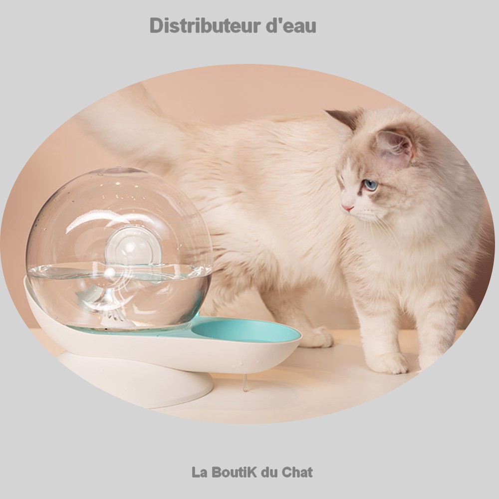 Fontaine à Eau grande capacité couleur   Chat - Chien - La BoutiK du Chat