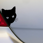 Autocollants-de-d-coration-de-voiture-en-vinyle-15x12cm-1-2-pi-ces-amusants-noirs-chats