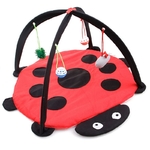 Tente-Portable-pliable-pour-chat-jouets-amusants-pour-animaux-de-compagnie-activit-Mobile-tapis-de-jeu