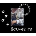 souvenirs précieux chat chaton- La BoutiK du Chat