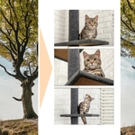 arbre chat petit espace réglable gris plafond chaton griffoir- La BoutiK du Chat