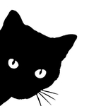 Sticker en Vinyle duo de chats pour Voiture la boutik du chat