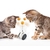 jouet chat balançoire plume souris - La BoutiK du Chat