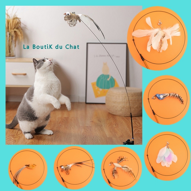 Goodbuy-Tuyau interactif de jeu de balle de piste de ventouse de fenêtre de  chat de jouet de chat avec des boules jaune + vert