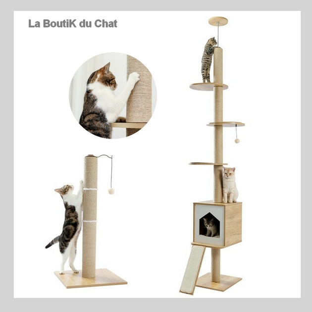 CAISSE À LITIÈRE POUR CHAT - CAT SONIC - La BoutiK du Chat