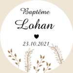 Lohan (4)
