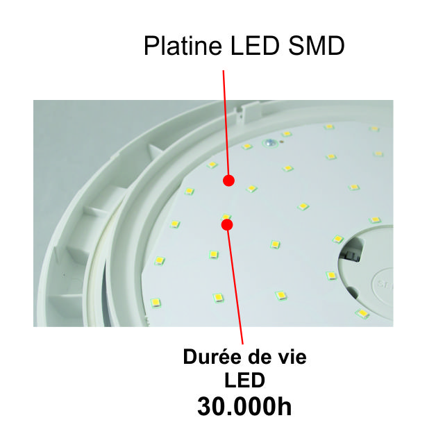 Applique Led Extérieure Avec Détecteur De Mouvement hublot sensor 14W  1100lm blanc neutre 4000k IP54 ø215 - Digilamp - Luminaires & Eclairage