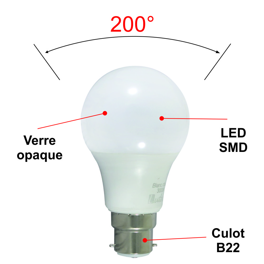 Lot de 10 ampoules LED B22 7W 650Lm 3000K - garantie 5 ans