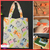 lot ma librairie en ballade chats oranges bleu gris vert 1-9