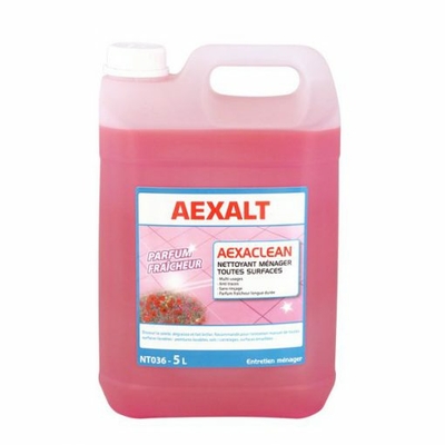 NT036 nettoyant toutes surfaces aexalt