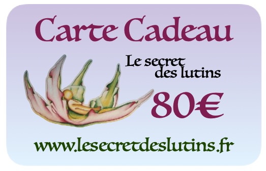 Carte Cadeau 80€