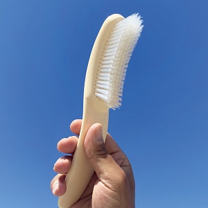 Brosse de plage Winter White qui pointe vers le ciel azur