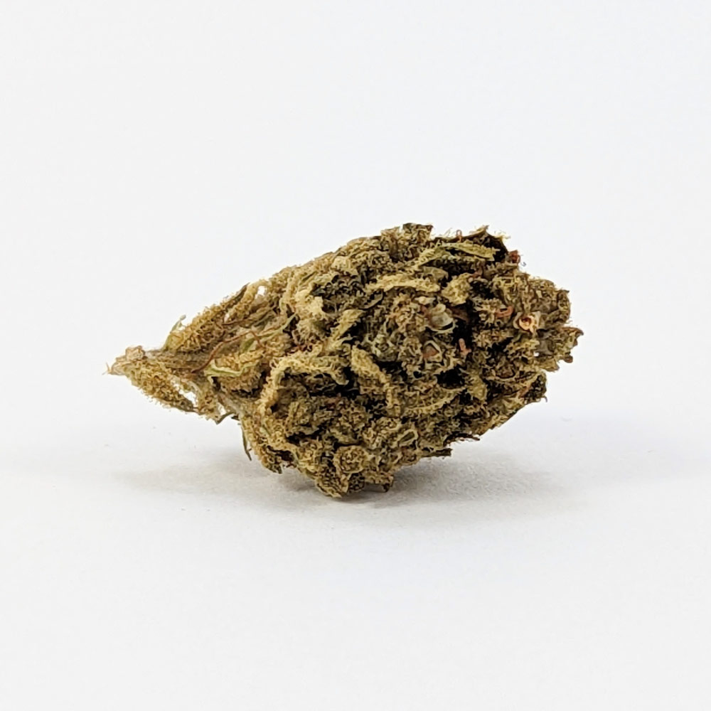 mango-fleur-cbd-bio