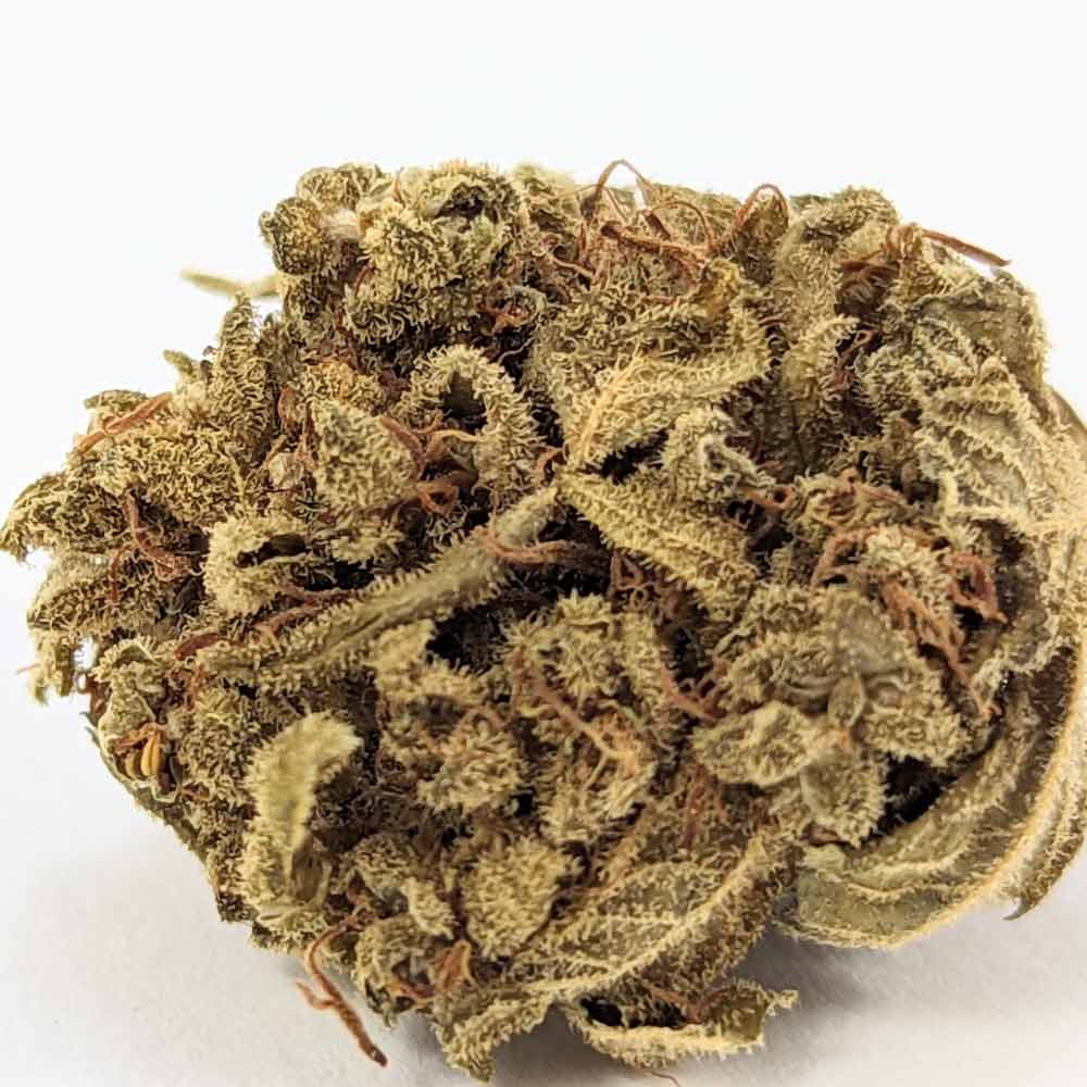 sour-pebble-fleurs-cbd-bio-zoom