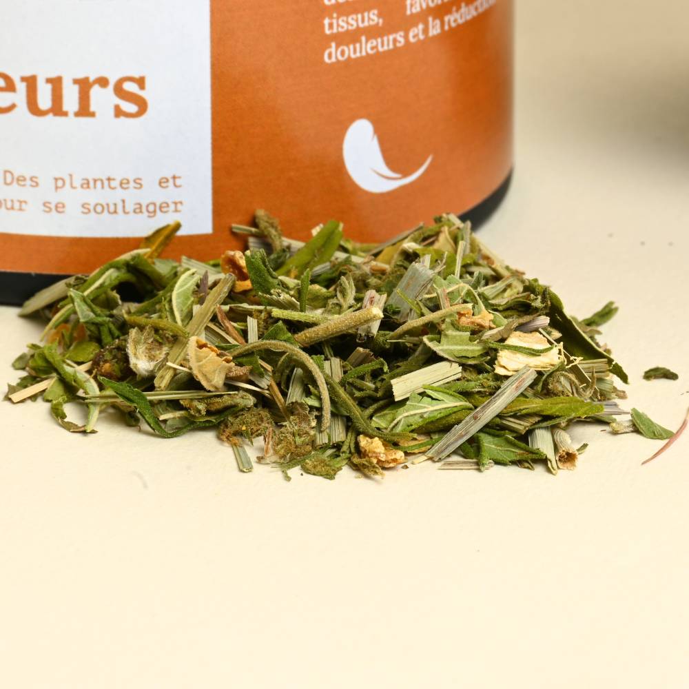 infusion-douleur-zoom-plantes