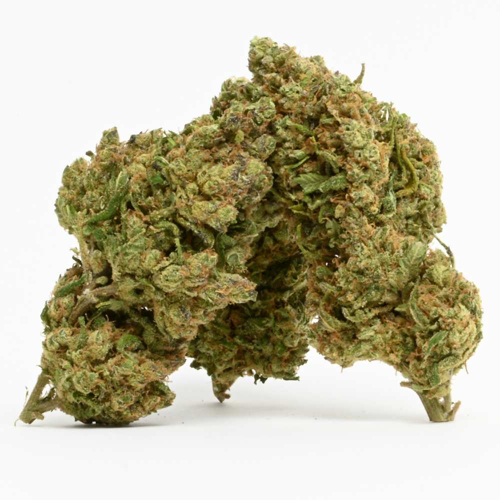 big-bud-indoor-hqct