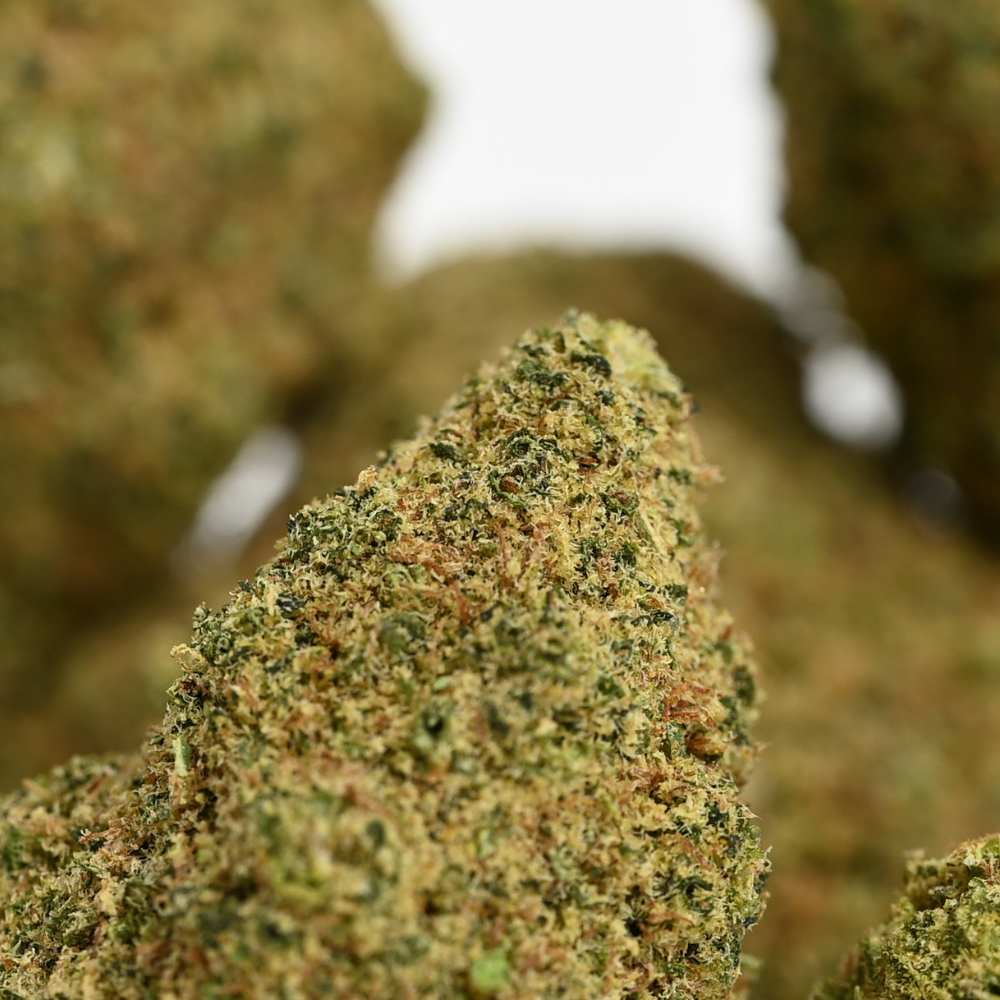 fleurs-cbd-indoor-confidentiel