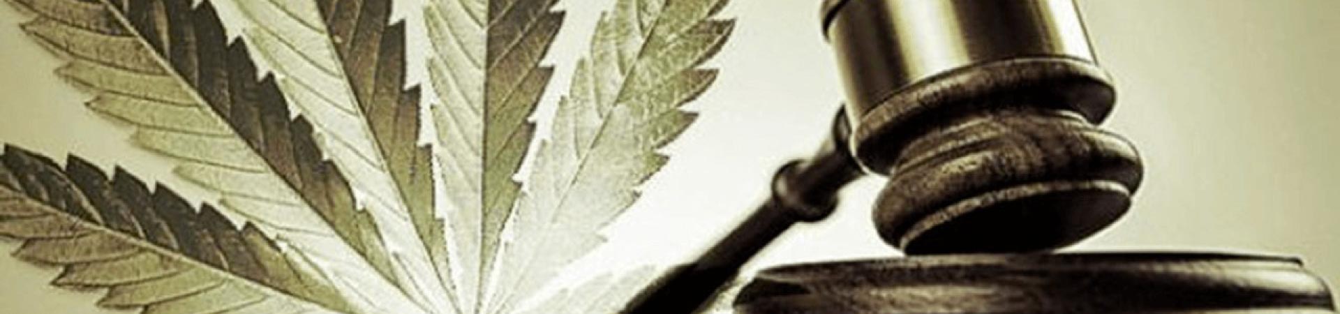 justice-et-cannabis