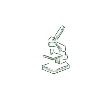 microscope 04 12