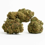 fleurs-cbd-indoor-mango