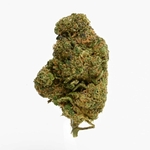 mango-cbd-indoor