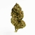 hqct-fleur-cbd-indoor
