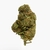 mango-cbd-indoor