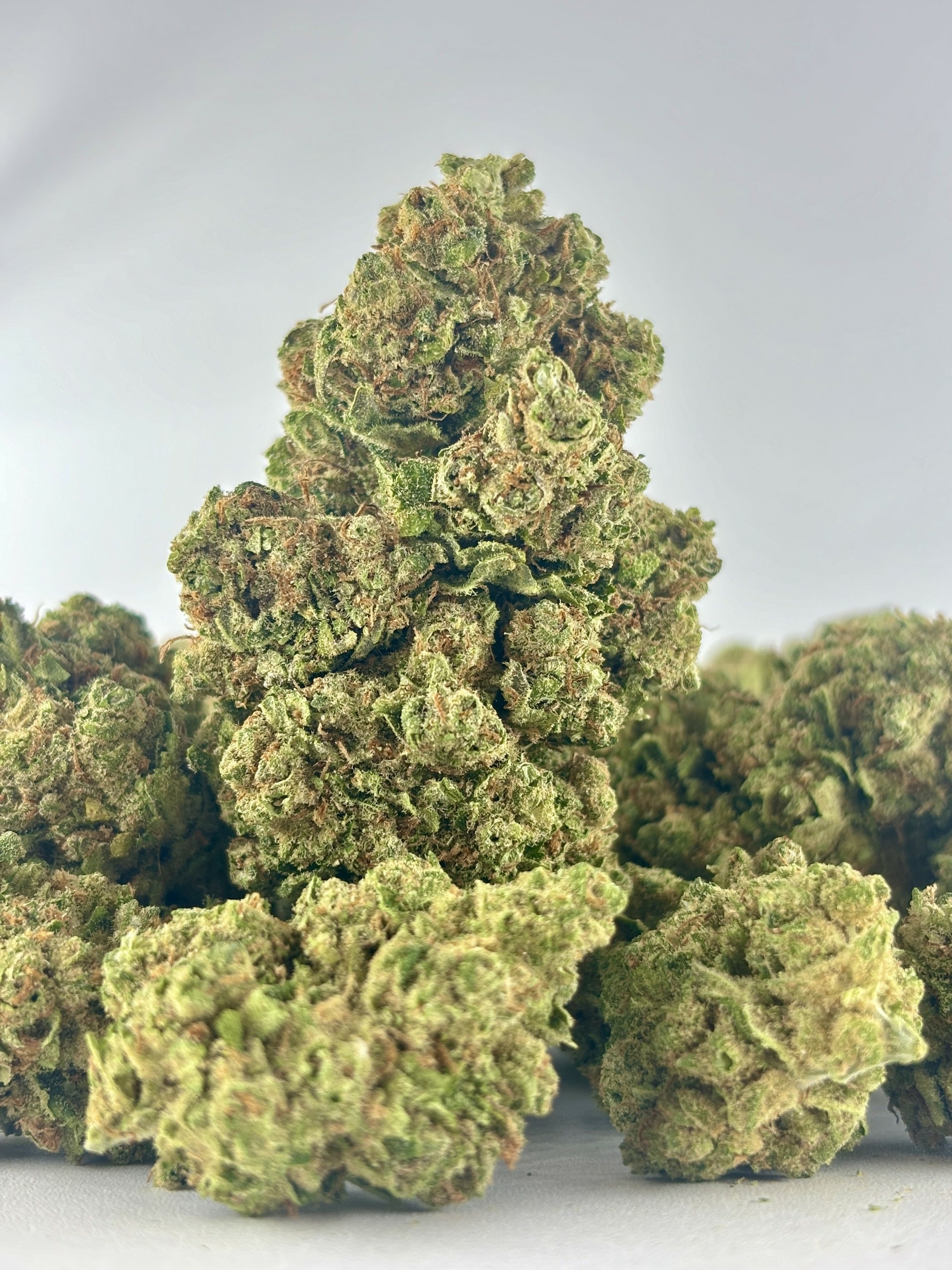 amnesia haze