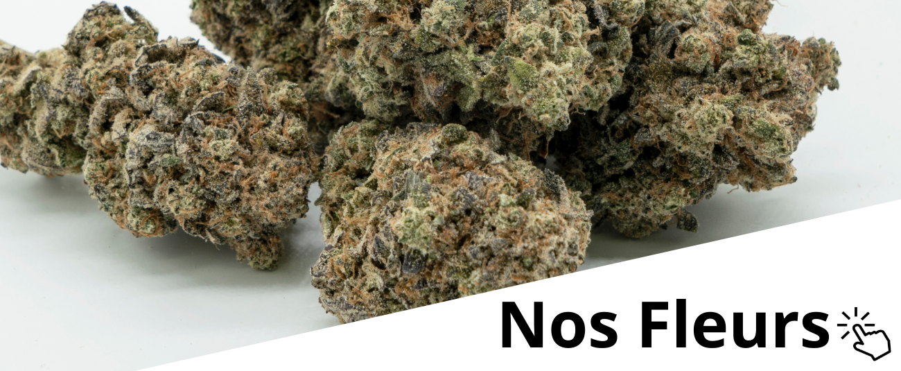 Nos fleurs