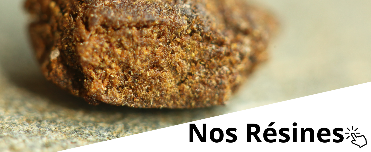 Nos résines