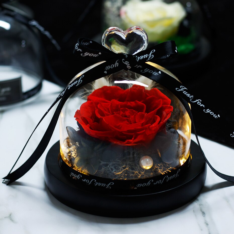 Rose-ternelle-sous-verre-de-la-belle-et-la-b-te-fleur-s-ch-e-pour