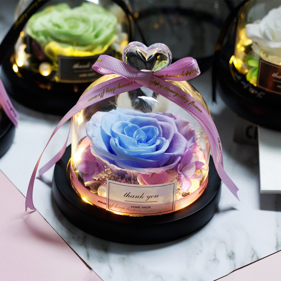 Rose-ternelle-sous-verre-de-la-belle-et-la-b-te-fleur-s-ch-e-pour