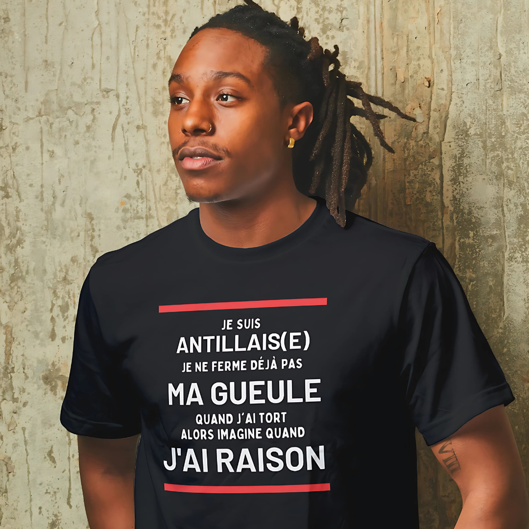 jesuisantillais3