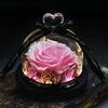 Rose-ternelle-sous-verre-de-la-belle-et-la-b-te-fleur-s-ch-e-pour