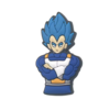 DBZ (1)