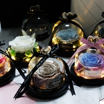 Rose-ternelle-sous-verre-de-la-belle-et-la-b-te-fleur-s-ch-e-pour