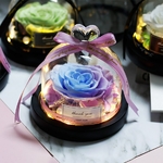 Rose-ternelle-sous-verre-de-la-belle-et-la-b-te-fleur-s-ch-e-pour