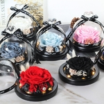 Rose-ternelle-sous-verre-de-la-belle-et-la-b-te-fleur-s-ch-e-pour
