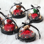 Rose-ternelle-sous-verre-de-la-belle-et-la-b-te-fleur-s-ch-e-pour